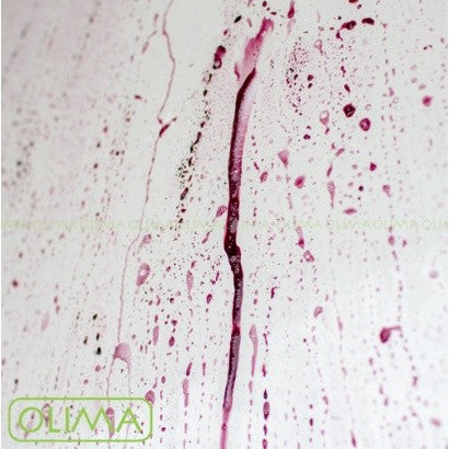 OLIMA 3.0版OLIMA中性鐵粉去除劑