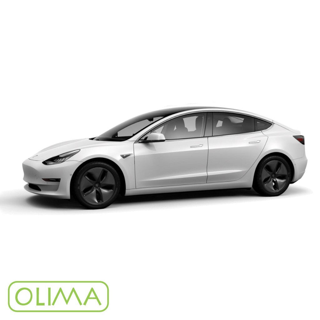 OLIMA 補漆筆 Tesla 特斯拉