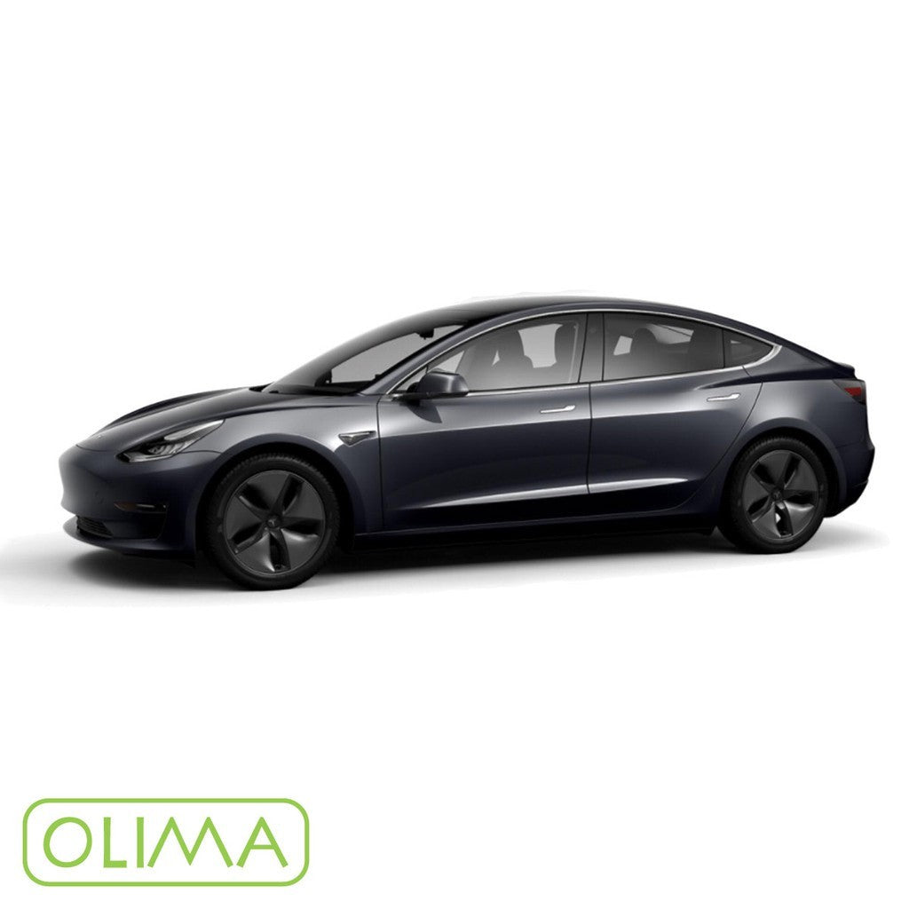 OLIMA 補漆筆 Tesla 特斯拉