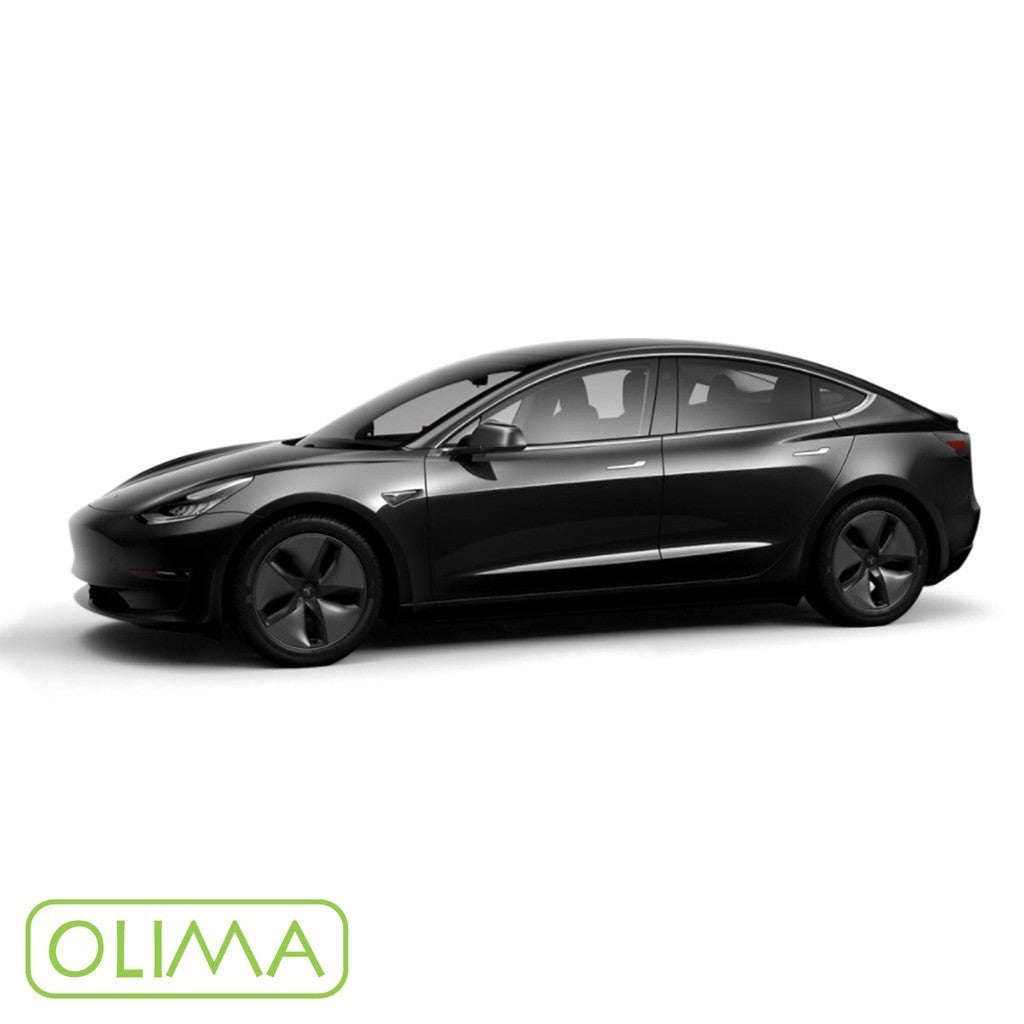 OLIMA 補漆筆 Tesla 特斯拉
