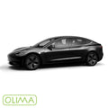 OLIMA 補漆筆 Tesla 特斯拉