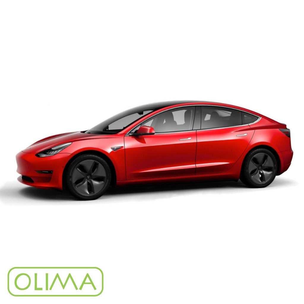 OLIMA 補漆筆 Tesla 特斯拉
