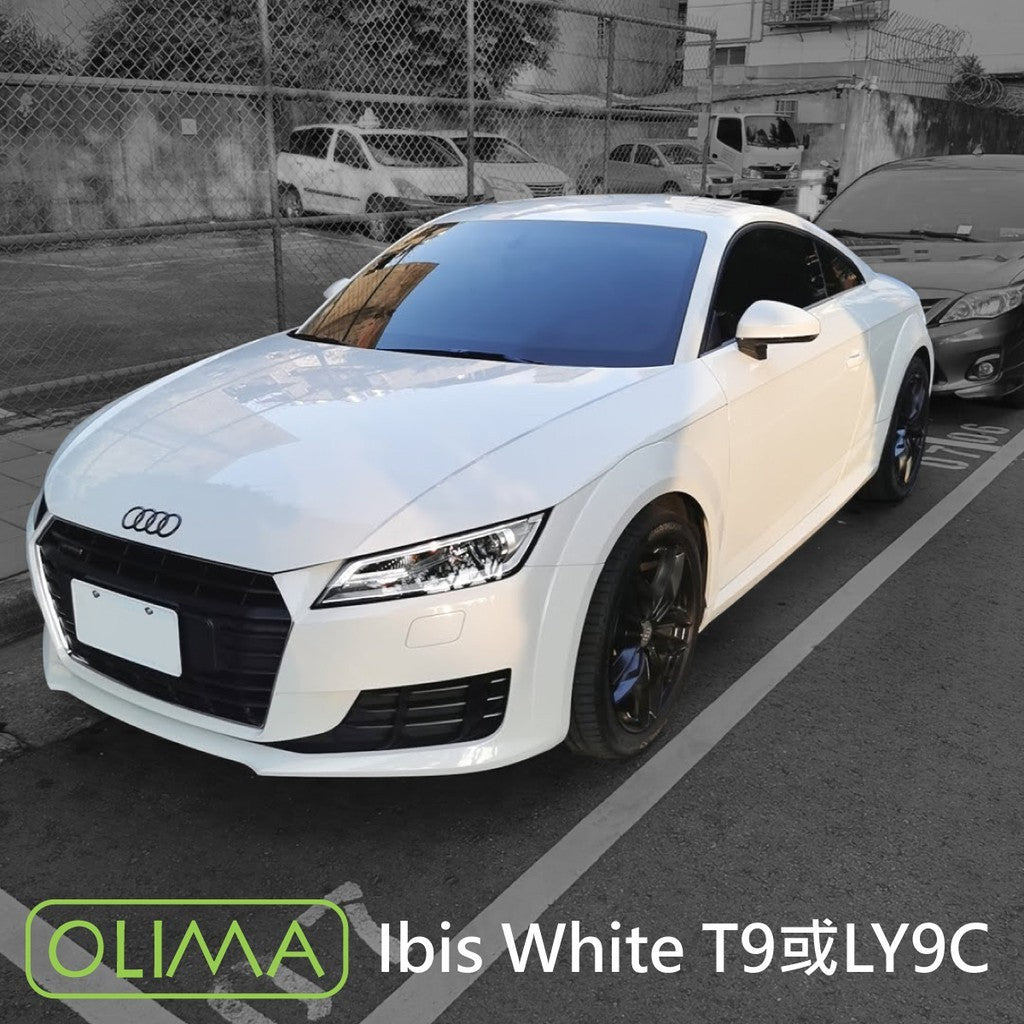 OLIMA 補漆筆 AUDI 奧迪