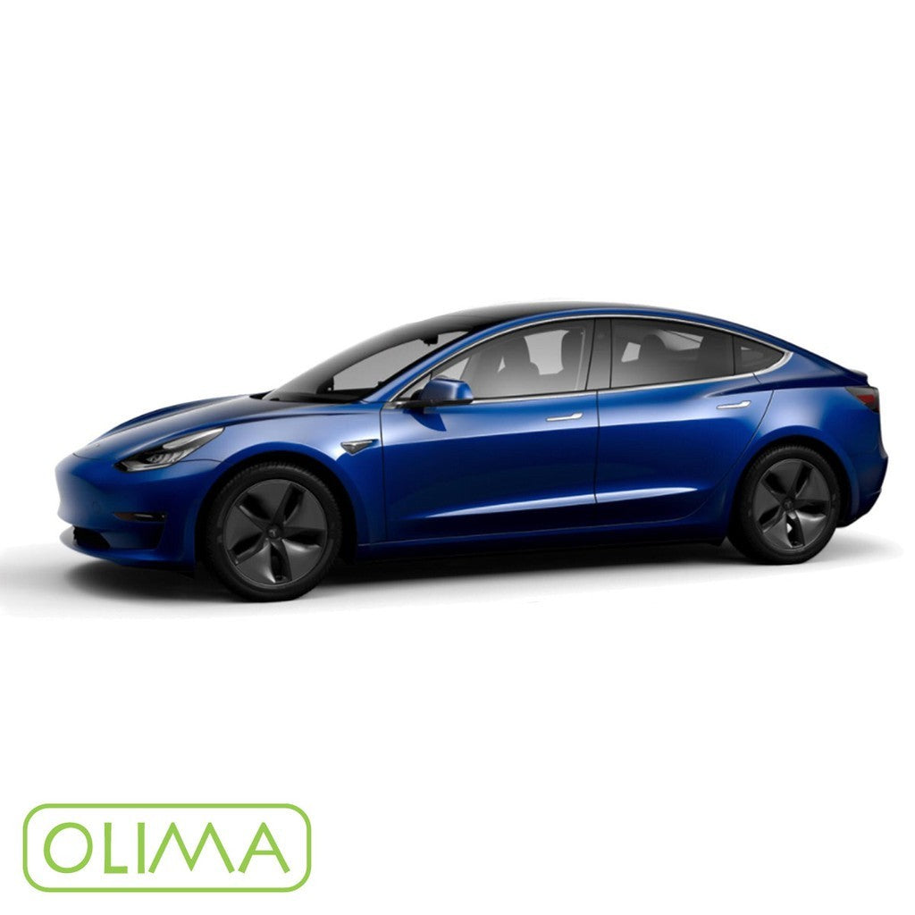 OLIMA 補漆筆 Tesla 特斯拉